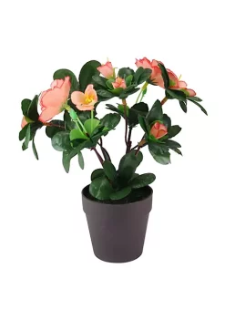 Coupon 😀 Northlight 8” Orange Potted Artificial Begonia Flower Plant 🎁 -Outlet Northlight Store Belk 478