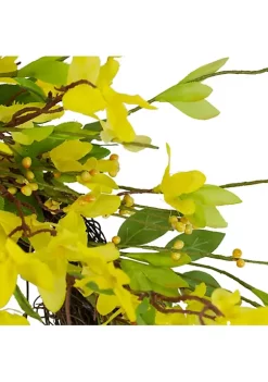 Budget ๐คฉ Northlight Forsythia and Leaves Artificial Spring Floral Wreath Yellow - 20-Inch ๐ 9 Budget ๐คฉ Northlight Forsythia and Leaves Artificial Spring Floral Wreath Yellow - 20-Inch ๐ -Outlet Northlight Store Belk 490