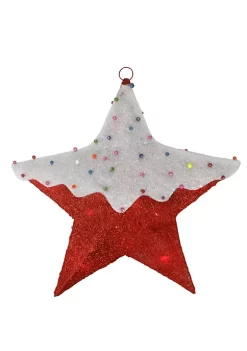 Best Pirce 🔥 Northlight 18" Red and White Lighted Snowy 🍬 Candy Covered Sisal Hanging ❄ Christmas Star Window Decoration 🤩