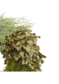 Buy ✨ Northlight Cedar Succulent and Day Grass Artificial Spring Wreath Green -14-Inch 😉 -Outlet Northlight Store Belk 498