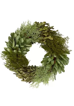 Buy ✨ Northlight Cedar Succulent and Day Grass Artificial Spring Wreath Green -14-Inch 😉 -Outlet Northlight Store Belk 499