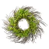 Coupon ✨ Northlight 20-Inch Green and Yellow Flower Buds Leaves and Twigs Artificial Floral Wreath 🌟 -Outlet Northlight Store Belk 500