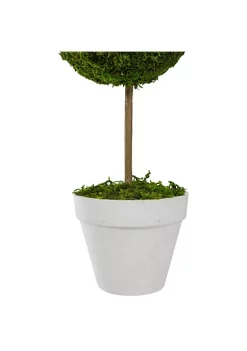 Coupon ⭐ Northlight 16" Green Reindeer Moss Ball Potted Artificial Spring Topiary Tree 🧨 -Outlet Northlight Store Belk 51