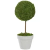 Best reviews of 🎁 Northlight 37.5" Potted Two-Tone Boxwood Column Artificial Topiary Tree - Unlit ⌛
