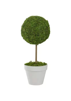 Coupon ⭐ Northlight 16" Green Reindeer Moss Ball Potted Artificial Spring Topiary Tree 🧨 -Outlet Northlight Store Belk 52