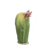 Coupon ๐ฅ Northlight 8.5" Green and Yellow Cactus on Wooden Base with Flower ๐ 2 Coupon ๐ฅ Northlight 8.5" Green and Yellow Cactus on Wooden Base with Flower ๐ -Outlet Northlight Store Belk 525