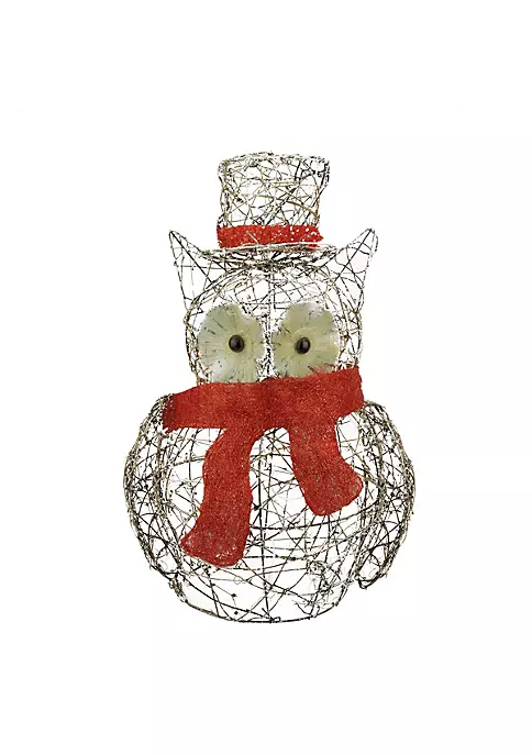 New ๐คฉ Northlight 21" Lighted Glitter Rattan Owl ๐ Christmas Outdoor Decoration ๐ 4 New ๐คฉ Northlight 21" Lighted Glitter Rattan Owl ๐ Christmas Outdoor Decoration ๐ - Image 2