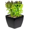 Budget ❤️ Northlight 6" Potted Green Artificial Succulent Arrangement 🌟 -Outlet Northlight Store Belk 577
