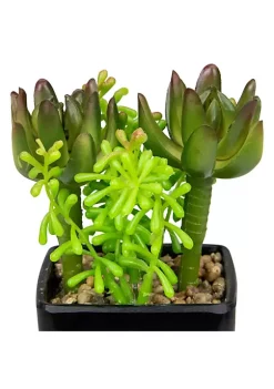Budget ❤️ Northlight 6" Potted Green Artificial Succulent Arrangement 🌟 -Outlet Northlight Store Belk 579