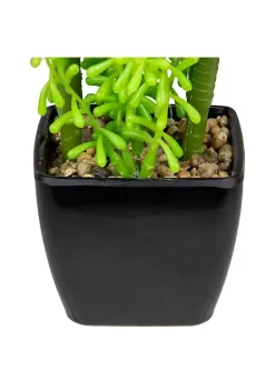 Budget ❤️ Northlight 6" Potted Green Artificial Succulent Arrangement 🌟 -Outlet Northlight Store Belk 580