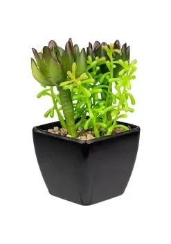 Budget ❤️ Northlight 6" Potted Green Artificial Succulent Arrangement 🌟 -Outlet Northlight Store Belk 581