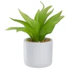 Budget 🔥 Northlight 8" Green Artificial Aloe Plant in a White Pot ✔️