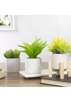 Budget 🔥 Northlight 8" Green Artificial Aloe Plant in a White Pot ✔️ -Outlet Northlight Store Belk 583