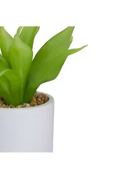 Budget 🔥 Northlight 8" Green Artificial Aloe Plant in a White Pot ✔️ -Outlet Northlight Store Belk 585