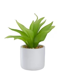Budget 🔥 Northlight 8" Green Artificial Aloe Plant in a White Pot ✔️ -Outlet Northlight Store Belk 586