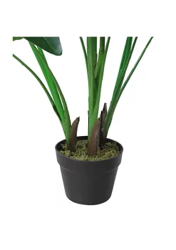 Hot Sale 🔥 Northlight 51" Green and Black Traveller's Artificial Tree Pot 🛒 8 Hot Sale 🔥 Northlight 51" Green and Black Traveller's Artificial Tree Pot 🛒 -Outlet Northlight Store Belk 618