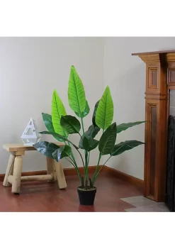 Hot Sale 🔥 Northlight 51" Green and Black Traveller's Artificial Tree Pot 🛒 9 Hot Sale 🔥 Northlight 51" Green and Black Traveller's Artificial Tree Pot 🛒 -Outlet Northlight Store Belk 619