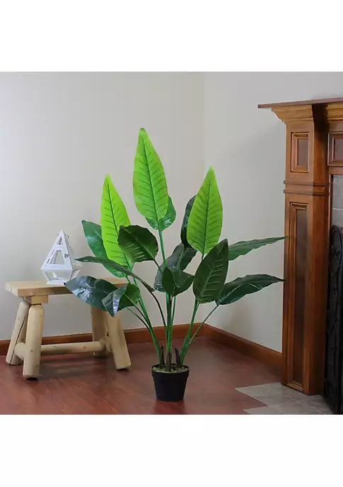 Hot Sale 🔥 Northlight 51" Green and Black Traveller's Artificial Tree Pot 🛒 5 Hot Sale 🔥 Northlight 51" Green and Black Traveller's Artificial Tree Pot 🛒 - Image 4