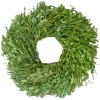 Flash Sale 😀 Northlight Green Foliage Artificial Spring Wreath 11-Inch 🤩 -Outlet Northlight Store Belk 684