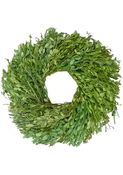 Flash Sale 😀 Northlight Green Foliage Artificial Spring Wreath 11-Inch 🤩