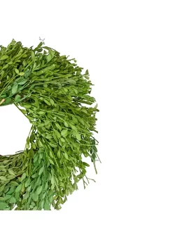 Flash Sale 😀 Northlight Green Foliage Artificial Spring Wreath 11-Inch 🤩 -Outlet Northlight Store Belk 686