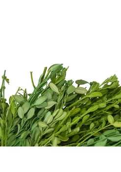 Flash Sale 😀 Northlight Green Foliage Artificial Spring Wreath 11-Inch 🤩 -Outlet Northlight Store Belk 687