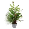 Best deal 😀 Northlight 2' Potted Mixed Pine Cedar and Twig Artificial 🎄 Christmas Tree - Unlit 🤩 -Outlet Northlight Store Belk 705