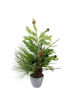 Best deal 😀 Northlight 2' Potted Mixed Pine Cedar and Twig Artificial 🎄 Christmas Tree - Unlit 🤩