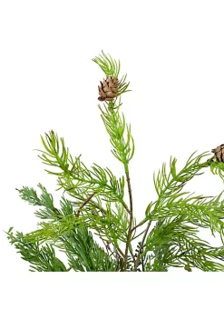 Best deal 😀 Northlight 2' Potted Mixed Pine Cedar and Twig Artificial 🎄 Christmas Tree - Unlit 🤩 -Outlet Northlight Store Belk 707