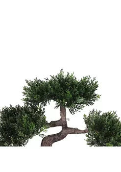 Buy ✨ Northlight 10" Potted Artificial Japanese Bonsai Tree 🔥 -Outlet Northlight Store Belk 710