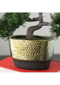 Buy ✨ Northlight 10" Potted Artificial Japanese Bonsai Tree 🔥 -Outlet Northlight Store Belk 711