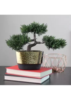 Buy ✨ Northlight 10" Potted Artificial Japanese Bonsai Tree 🔥 -Outlet Northlight Store Belk 712