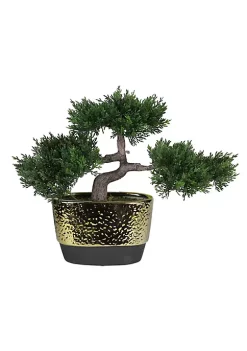 Buy ✨ Northlight 10" Potted Artificial Japanese Bonsai Tree 🔥 -Outlet Northlight Store Belk 713
