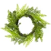 New 🥰 Northlight Fern Leaf Artificial Springtime Wreath Green - 18-Inch 😉 -Outlet Northlight Store Belk 714
