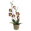 Best reviews of 🔔 Northlight 14" Crimson Red and Banana Yellow Decorative Orchids in Pot ✨