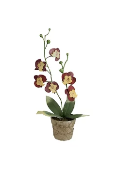 Best reviews of 🔔 Northlight 14" Crimson Red and Banana Yellow Decorative Orchids in Pot ✨