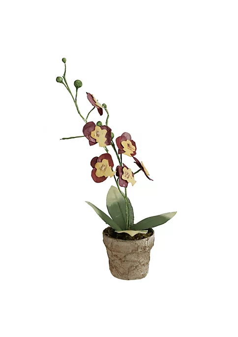 Best reviews of ๐ Northlight 14" Crimson Red and Banana Yellow Decorative Orchids in Pot โจ 4 Best reviews of ๐ Northlight 14" Crimson Red and Banana Yellow Decorative Orchids in Pot โจ - Image 2