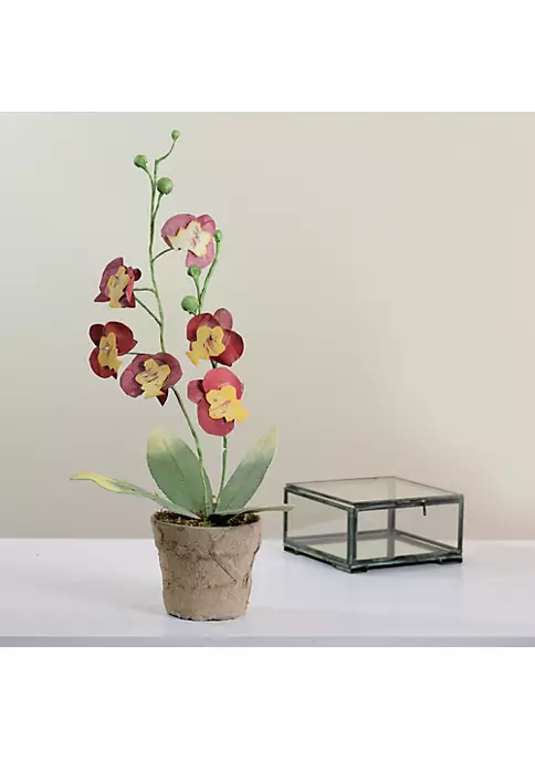 Best reviews of ๐ Northlight 14" Crimson Red and Banana Yellow Decorative Orchids in Pot โจ 5 Best reviews of ๐ Northlight 14" Crimson Red and Banana Yellow Decorative Orchids in Pot โจ - Image 3