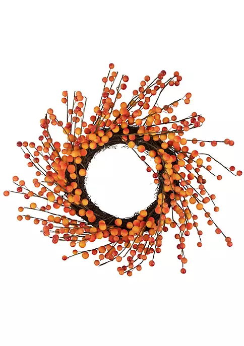 Hot Sale ๐ฅ Northlight 14" Orange and Red Berry Artifical Fall Harvest Twig Wreath 14-Inch Unlit ๐ 3 Hot Sale ๐ฅ Northlight 14" Orange and Red Berry Artifical Fall Harvest Twig Wreath 14-Inch Unlit ๐