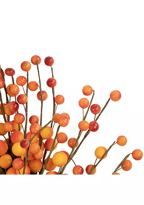 Hot Sale ๐ฅ Northlight 14" Orange and Red Berry Artifical Fall Harvest Twig Wreath 14-Inch Unlit ๐ 4 Hot Sale ๐ฅ Northlight 14" Orange and Red Berry Artifical Fall Harvest Twig Wreath 14-Inch Unlit ๐ - Image 2
