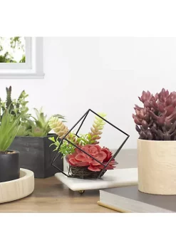 Budget 🎁 Northlight 5.5" Artificial Succulent Arrangement in Black Metal Wire Frame 🥰 -Outlet Northlight Store Belk 758