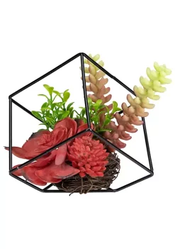 Budget 🎁 Northlight 5.5" Artificial Succulent Arrangement in Black Metal Wire Frame 🥰 -Outlet Northlight Store Belk 759