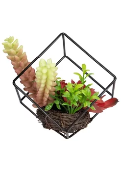 Budget 🎁 Northlight 5.5" Artificial Succulent Arrangement in Black Metal Wire Frame 🥰 -Outlet Northlight Store Belk 760