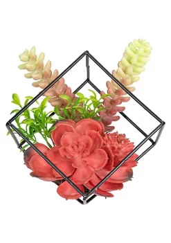 Budget 🎁 Northlight 5.5" Artificial Succulent Arrangement in Black Metal Wire Frame 🥰 -Outlet Northlight Store Belk 761