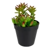 Cheap ✨ Northlight 8" Green and Red Artificial Mixed Succulent Plant Arrangement 🧨 -Outlet Northlight Store Belk 762