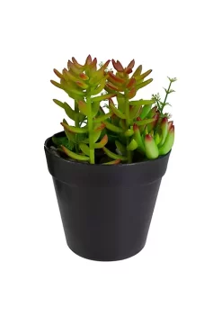 Cheap โจ Northlight 8" Green and Red Artificial Mixed Succulent Plant Arrangement ๐งจ 10 Cheap โจ Northlight 8" Green and Red Artificial Mixed Succulent Plant Arrangement ๐งจ -Outlet Northlight Store Belk 765