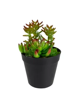 Cheap โจ Northlight 8" Green and Red Artificial Mixed Succulent Plant Arrangement ๐งจ 11 Cheap โจ Northlight 8" Green and Red Artificial Mixed Succulent Plant Arrangement ๐งจ -Outlet Northlight Store Belk 766