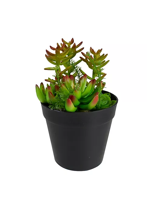 Cheap โจ Northlight 8" Green and Red Artificial Mixed Succulent Plant Arrangement ๐งจ 7 Cheap โจ Northlight 8" Green and Red Artificial Mixed Succulent Plant Arrangement ๐งจ - Image 5