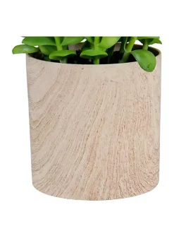 Top 10 😀 Northlight 10" Green Artificial Privet Plant in Faux Wood Pot 🥰 -Outlet Northlight Store Belk 780