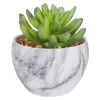 Top 10 😍 Northlight 4.25" Green Artificial Succulent in Faux Marble Pot 🤩 -Outlet Northlight Store Belk 783